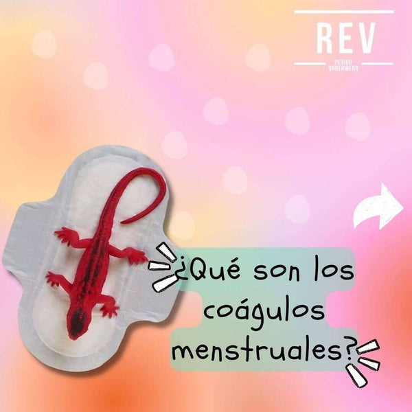 Coágulos menstruales REV